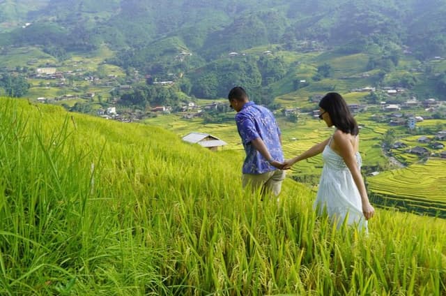 Sapa Sin Chai Village Hmong Culture Half Day Trek