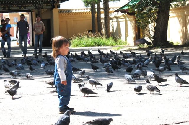 Ulaanbaatar City Tour: Gandan, Genghis Museum & Central Square