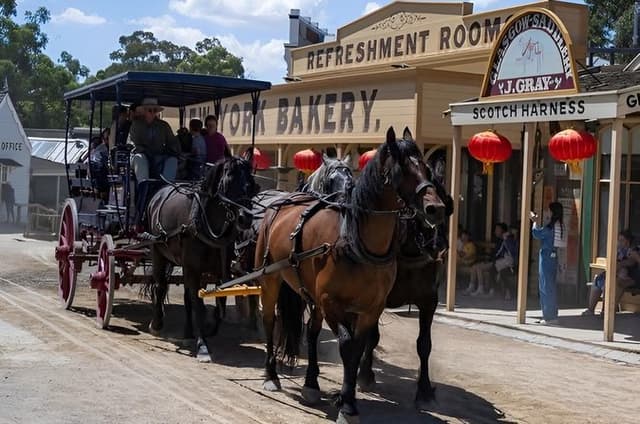 Private Tour: Great Ocean Road & Sovereign Hill(Tickets included)