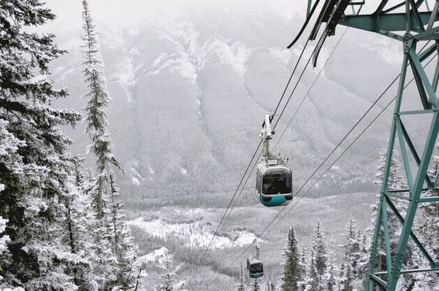Banff Highlights and Wildlife Small Group Tour with Gondola