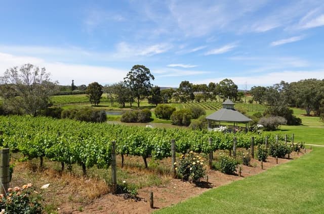 Swan Valley Private Tour