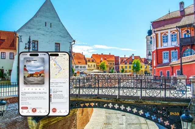 Sibiu Walking Tour Public Participation