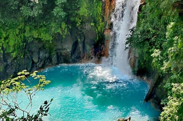 Private Excursion to Tenorio Volcano Sloths and Coffee Experience