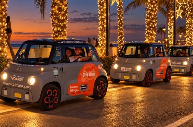 Málaga Christmas Lights & Night Tour by Electric Car