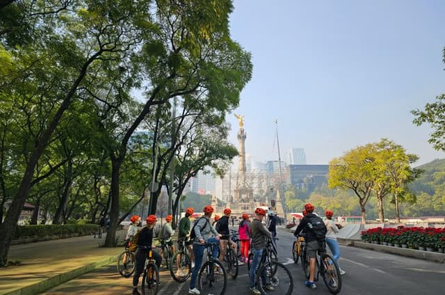 Mexico City: 19 City Highlights Bicycle Tour