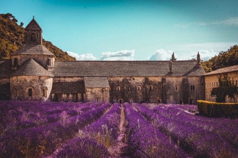 Things To Do in Provence