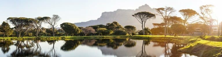 Best Things To Do In Cape Town