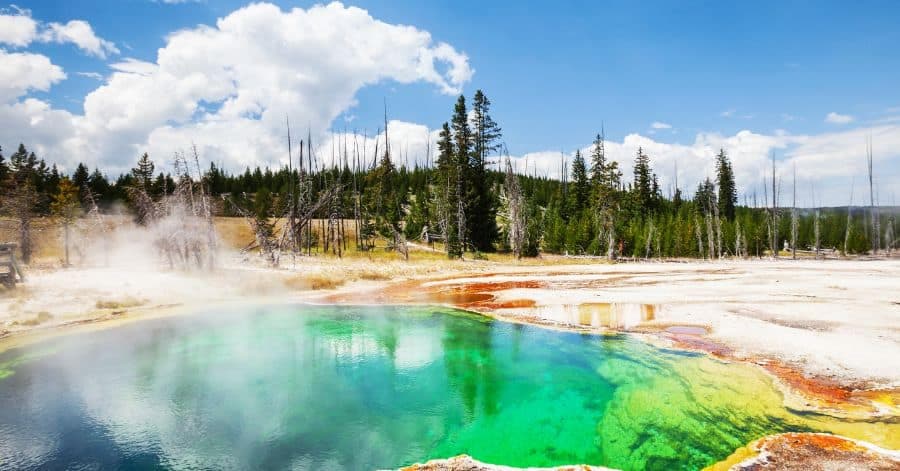 25 Wildlife and Outdoor Activities in Yellowstone National Park