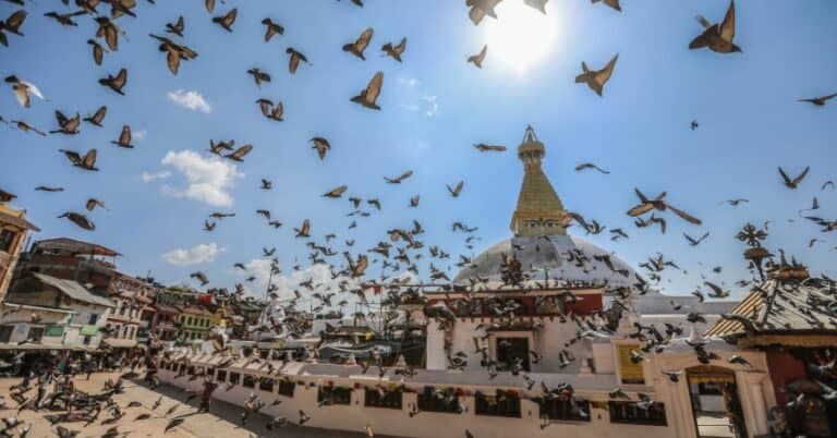 Best Time to Visit Nepal