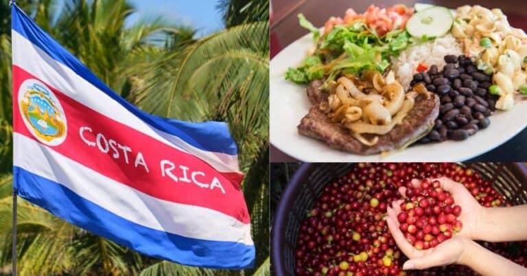 Must-try Costa Rican Foods and Where to Try Them