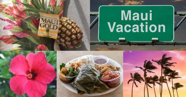 14 Best Restaurants in Maui