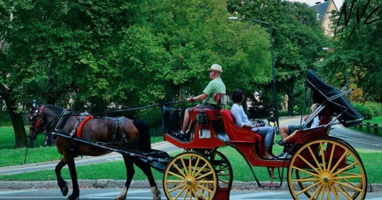 Top 11 Outdoor Things To Do In New York