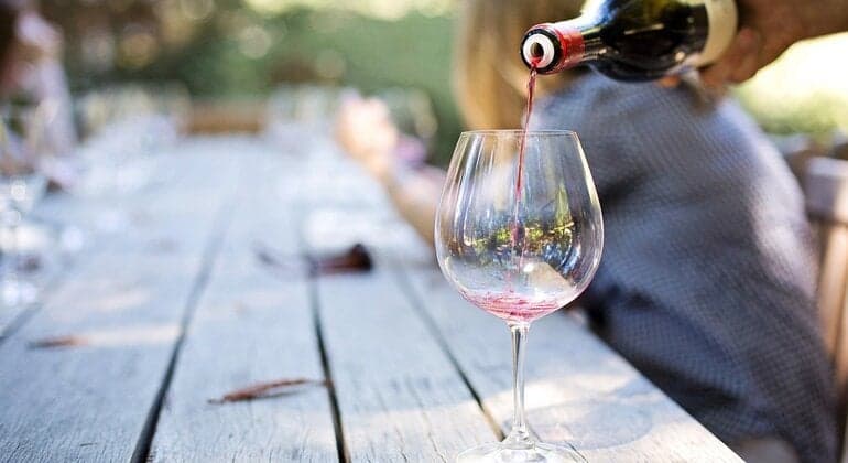 Bratislava Wine Tasting