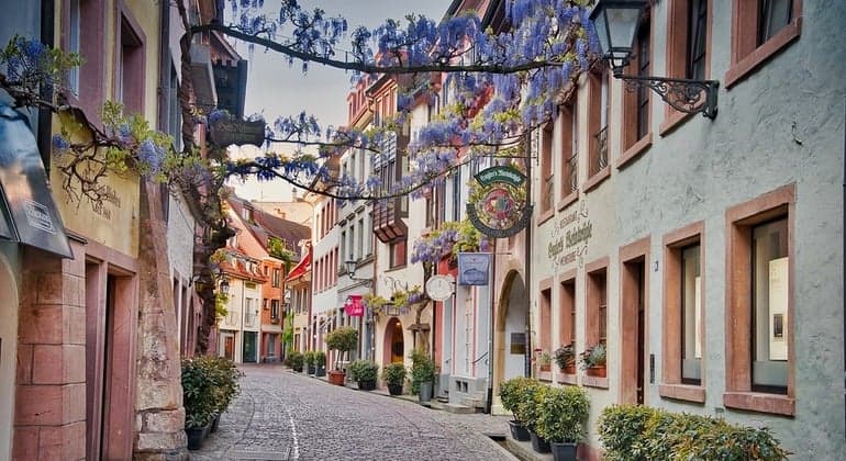 Freiburg City Tour