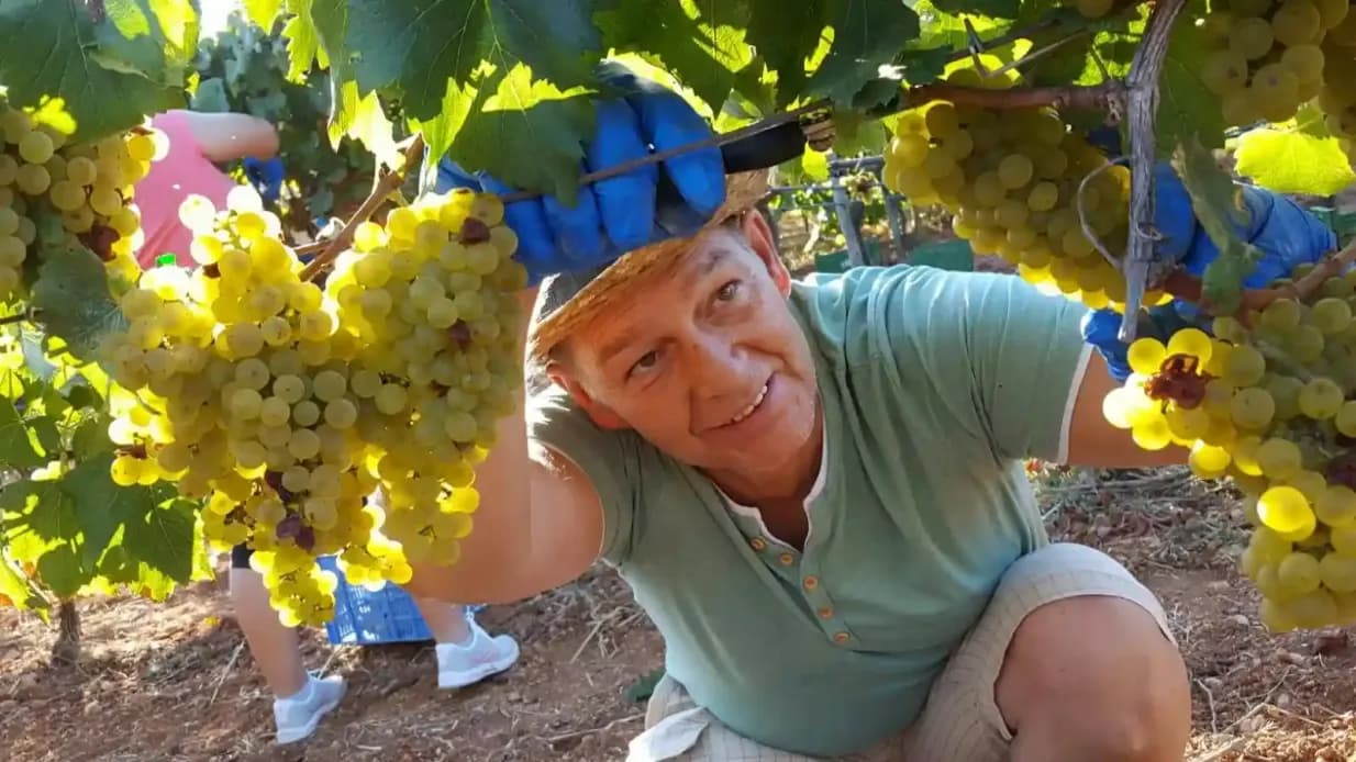 Compare Best Mallorca Wine Tours & Tastings