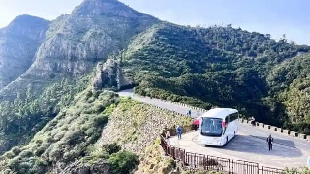 La Gomera: Guided Day Tour from Tenerife + Boat Ride + Lunch