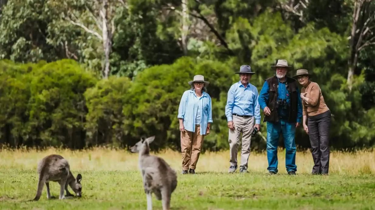 Best Canberra City Tours & Experiences