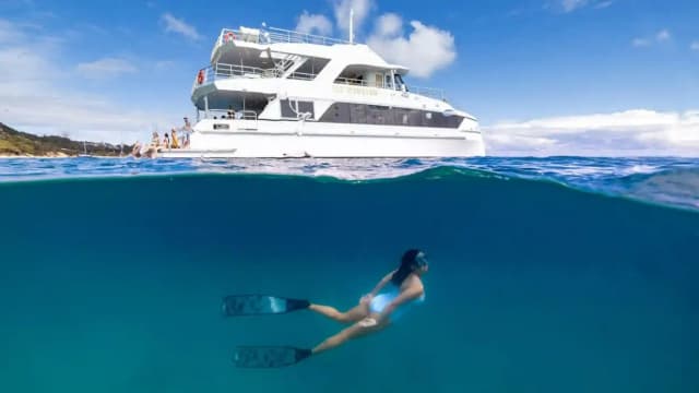 Tangalooma Wrecks & Dolphin Cruise from Brisbane