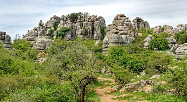 Visita Geológica en el Torcal de Antequera con guía profesional