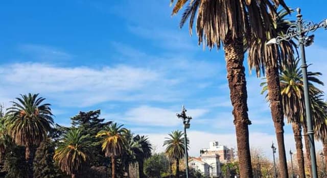 General San Martín Park Tour: Nature and History