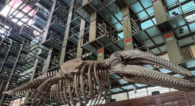 Explore Mexico City: Vasconcelos Library & Monument Free Tour