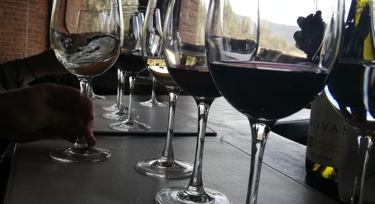 Casablanca Valley Wine Tour + Valparaíso Highlights