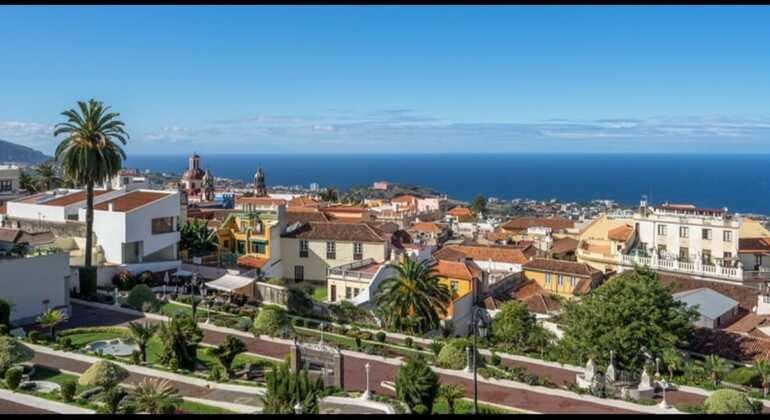 Best La Orotava Walking Tours in Tenerife