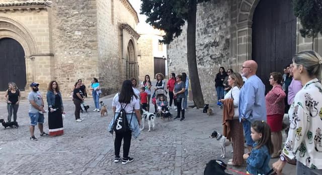 Free Tour Discovering Baeza