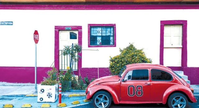 Between Murals and Flavors: Modern Quito on Foot