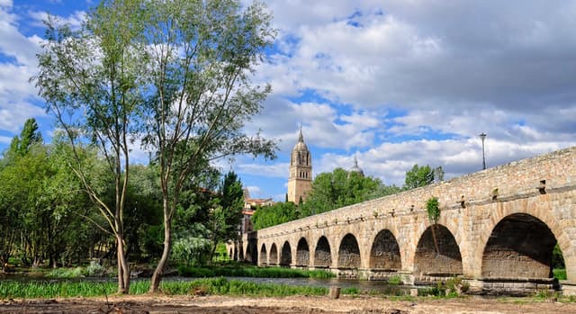 Fundamental Free Tour of Salamanca