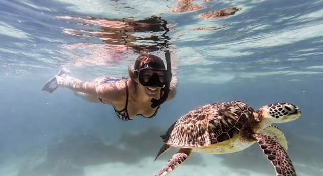 Coiba Island National Park Snorkeling Tour