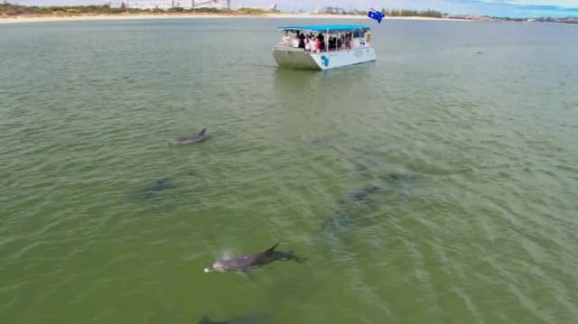 Dolphin Discovery Centre Bunbury: Eco-Cruise Tour