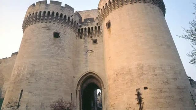 Fort Saint-André: Entry Ticket