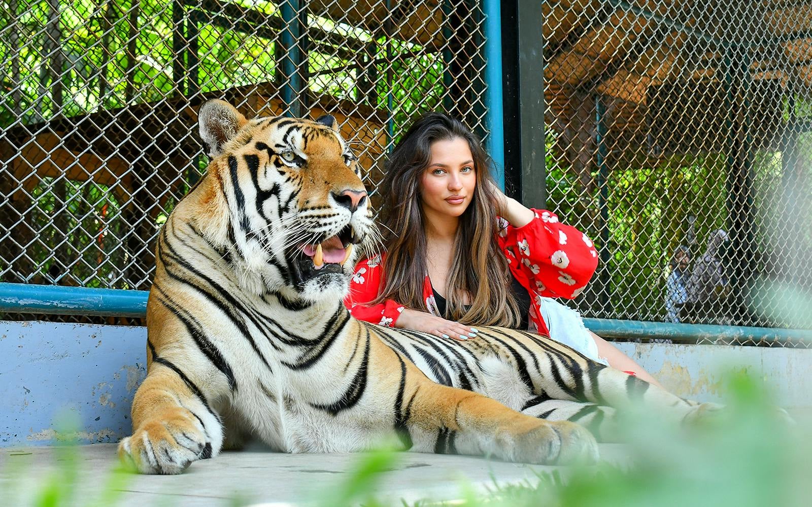 Lion Land Phuket