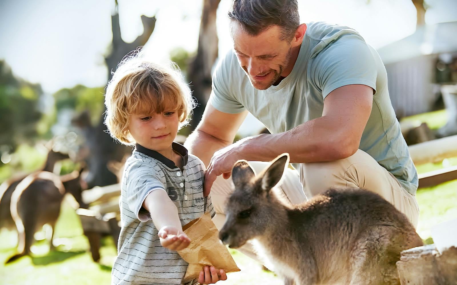 Bonorong Wildlife Sanctuary