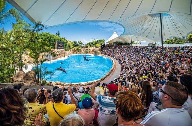 Loro Parque