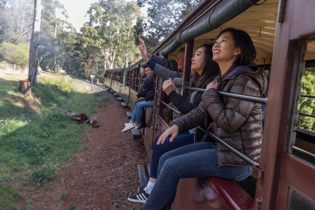 Puffing Billy & Penguin Parade Tour