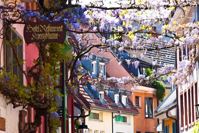 Discover Freiburg City Tour