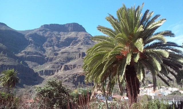 Gran Canaria Highlights Tour