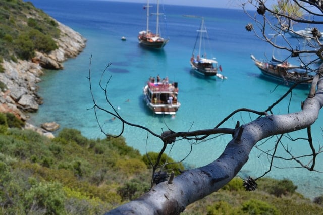 Orak Island Boat Trip