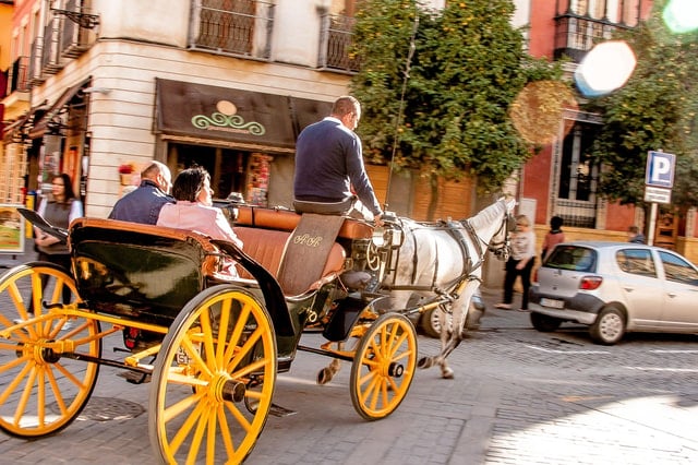 Seville Carriage Ride