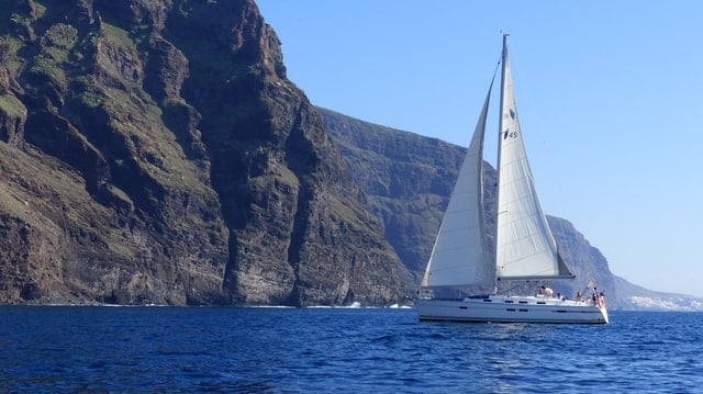 Los Gigantes Whale Watching