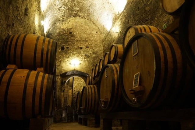 Montepulciano Wine Tasting