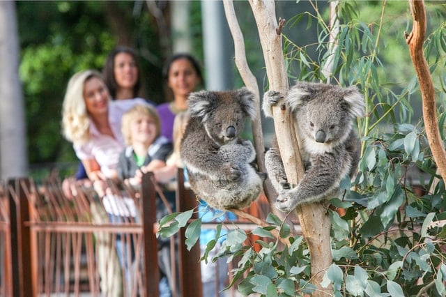 Melbourne Zoo