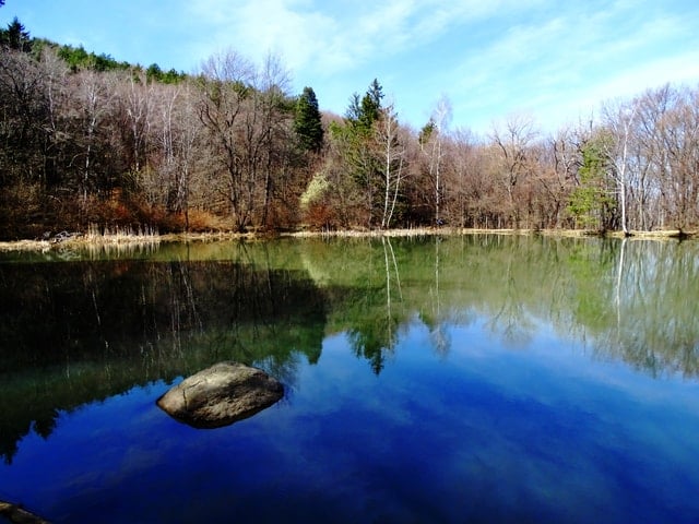 Vitosha Mountain & Pancharevo Lake Day Trip