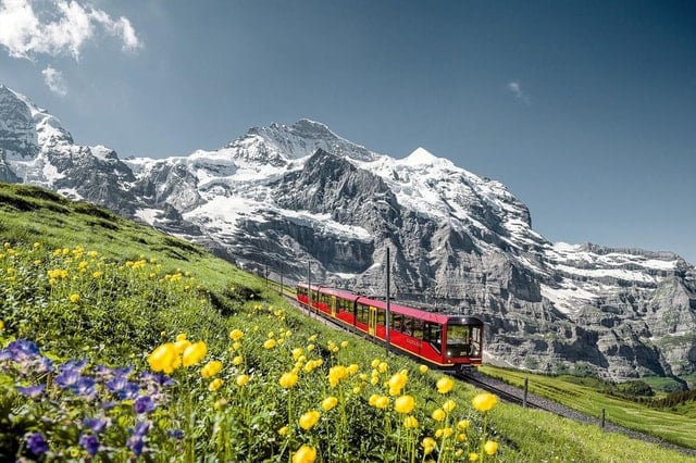 Jungfraujoch Tour