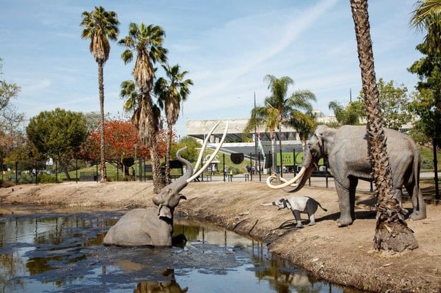 La Brea Tar Pits Museum