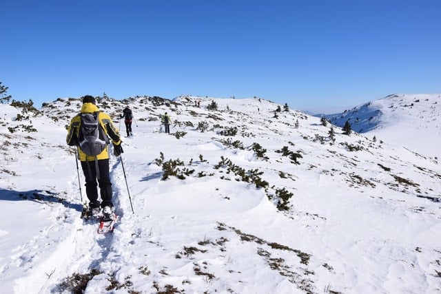 Vitosha Snowshoe Hike