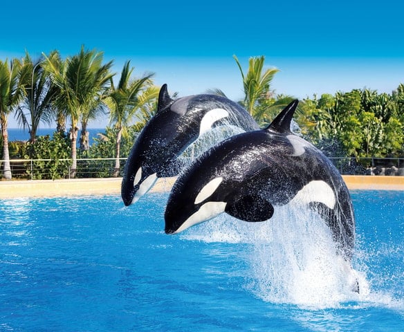 Siam Park