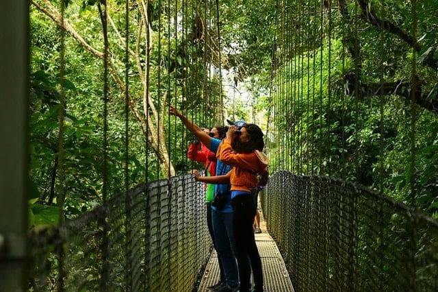 Arenal Hanging Bridges Tour